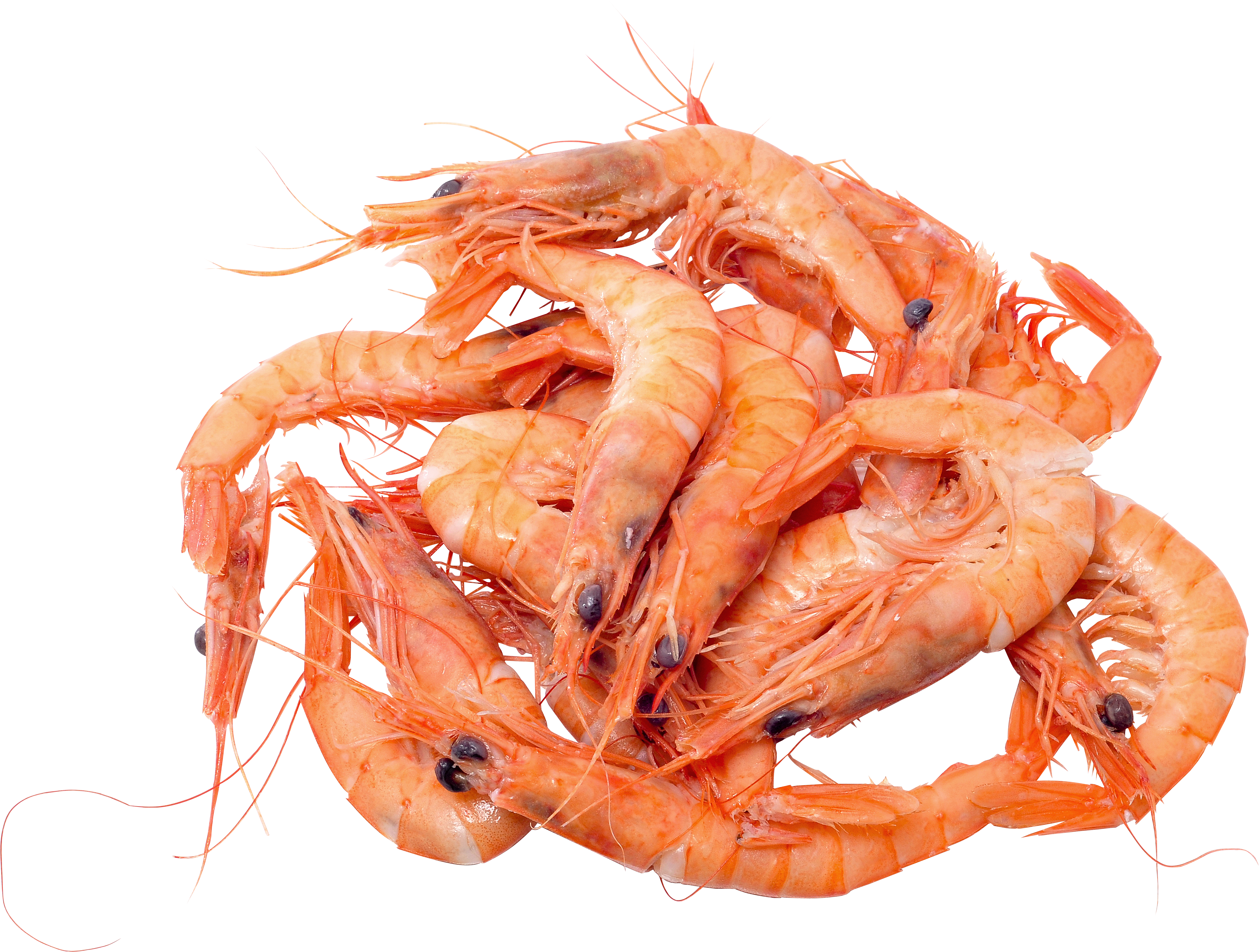 SHRIMPS